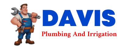 Trusted plumber in DEWITT